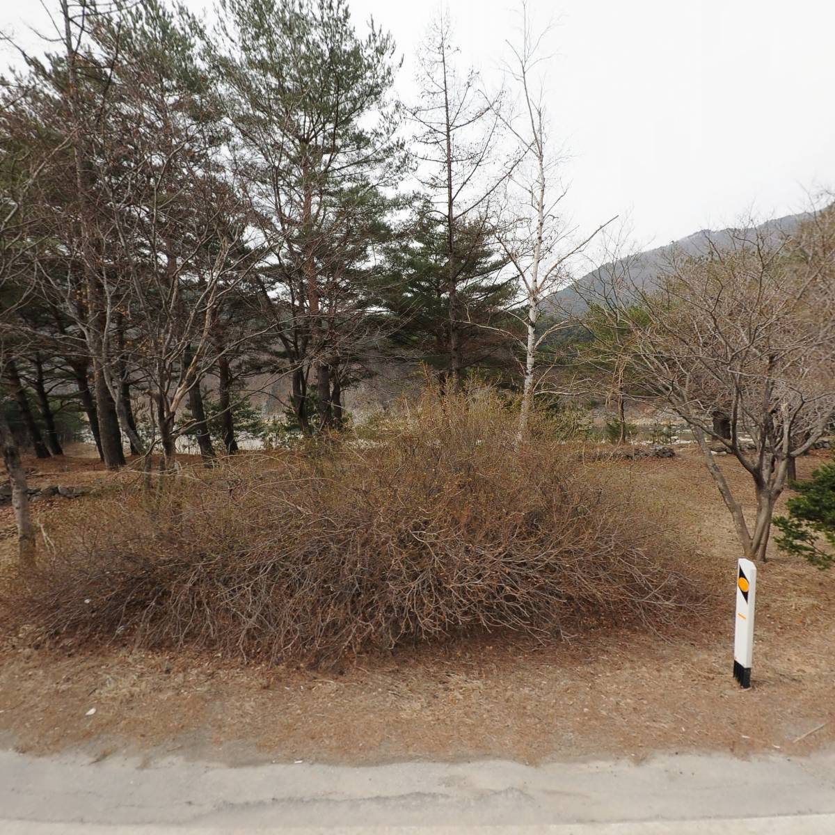 주식회사 미강