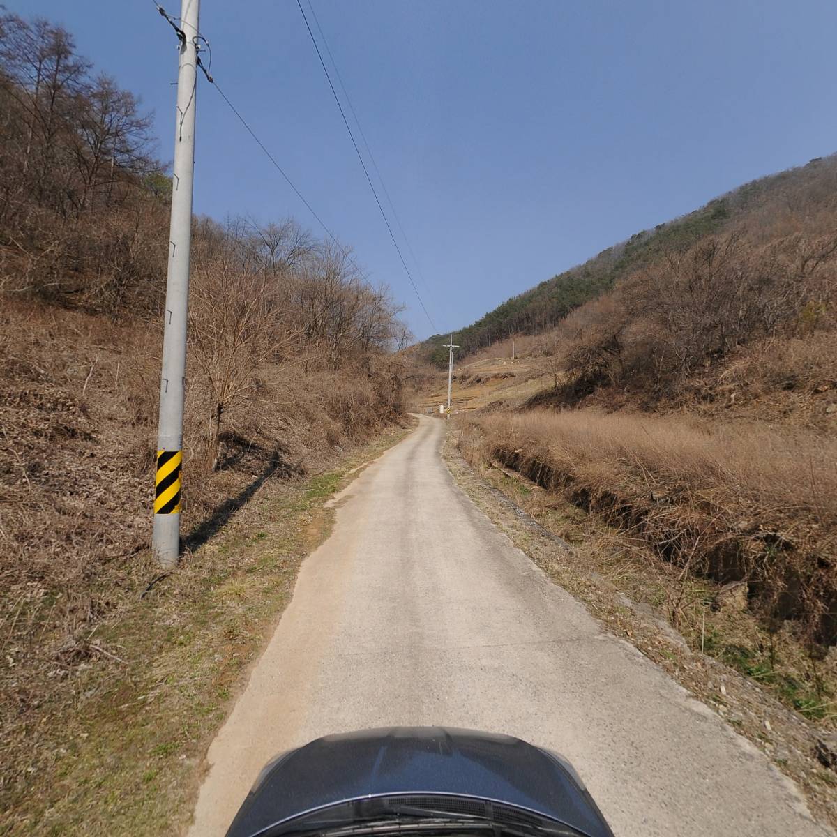 정선산나물_4