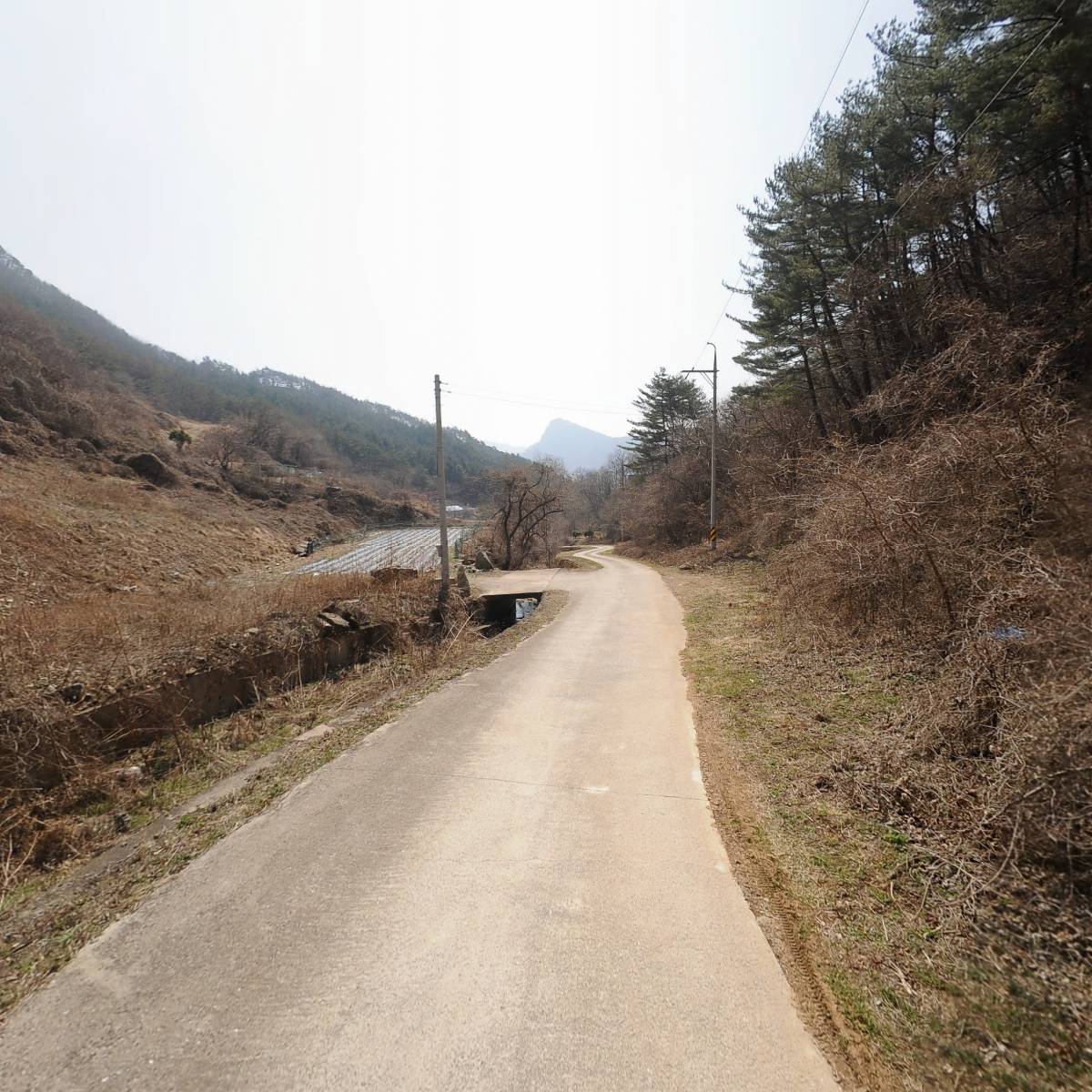 정선산나물_2