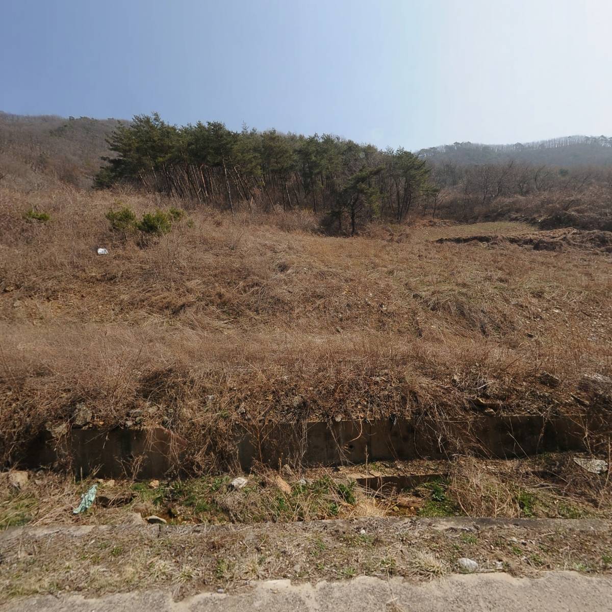 정선산나물