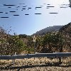 리조이스미술
