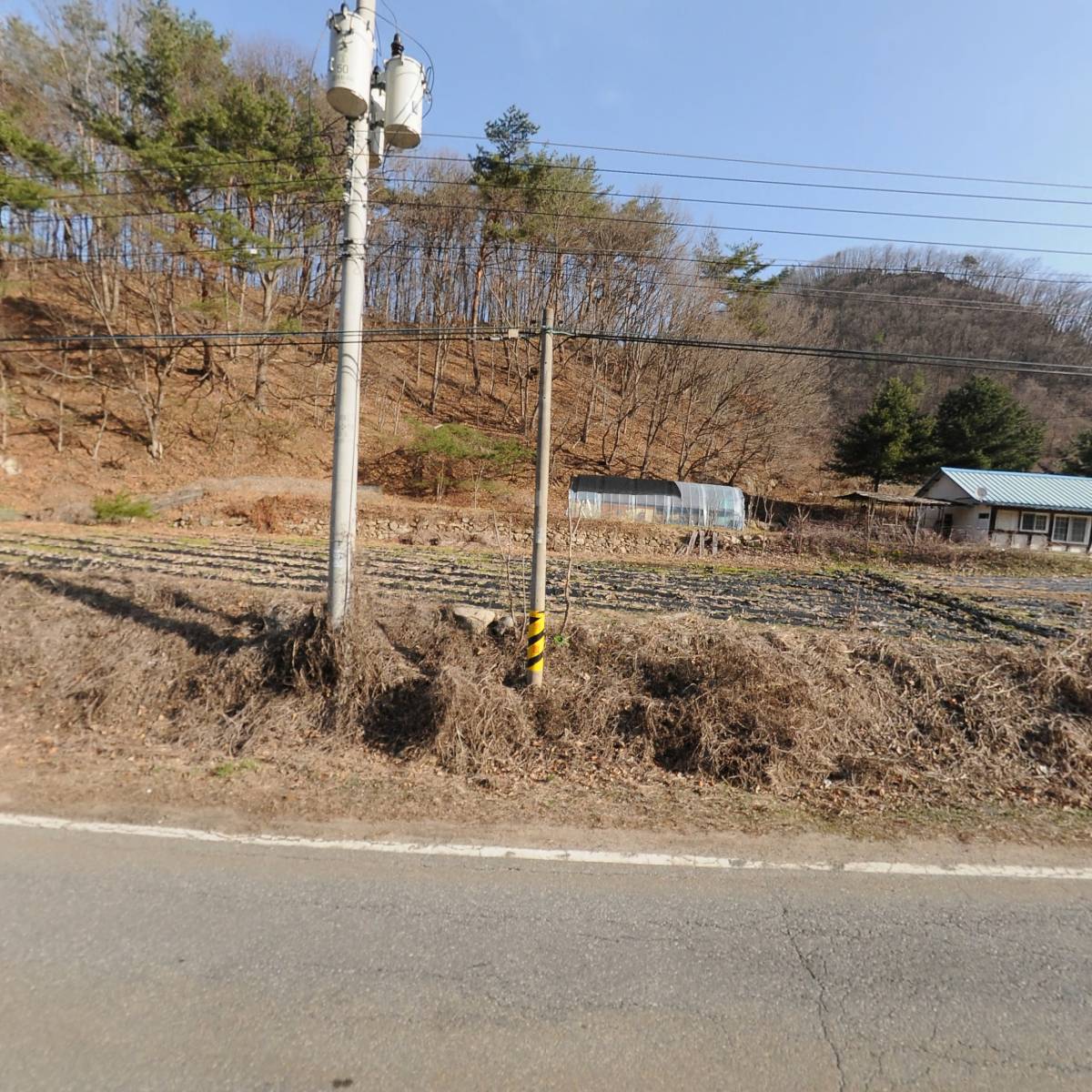 농업회사법인 주식회사 금안_3