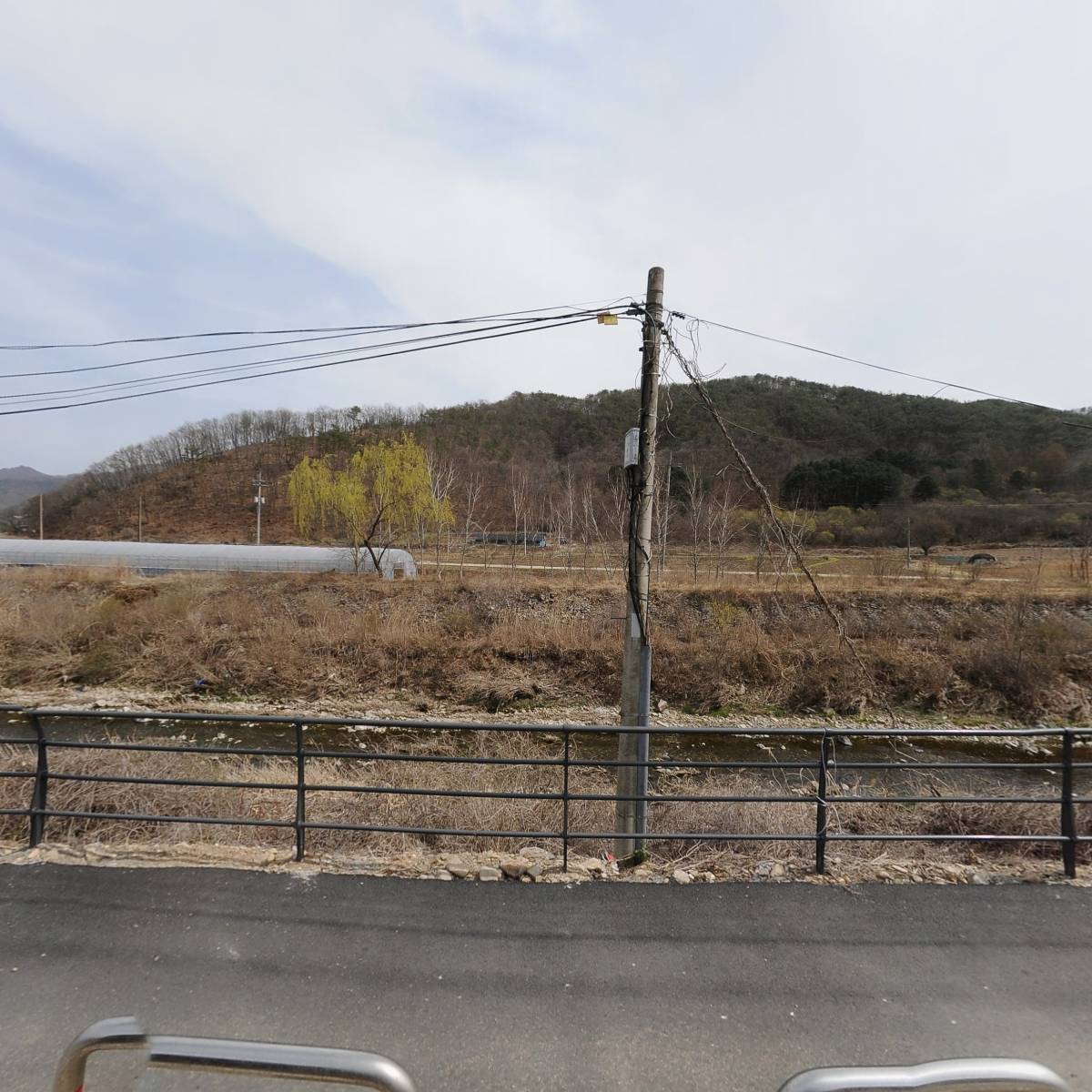 비발디파크 렌탈샵 엠엔엠