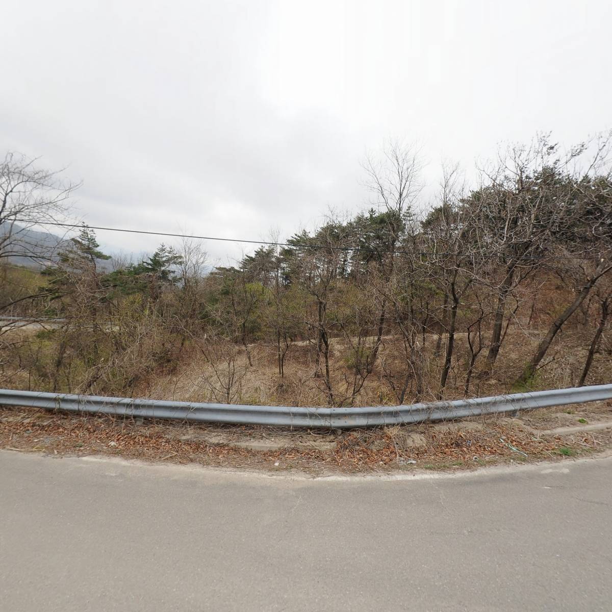 농업회사법인 달홀팜 주식회사_3