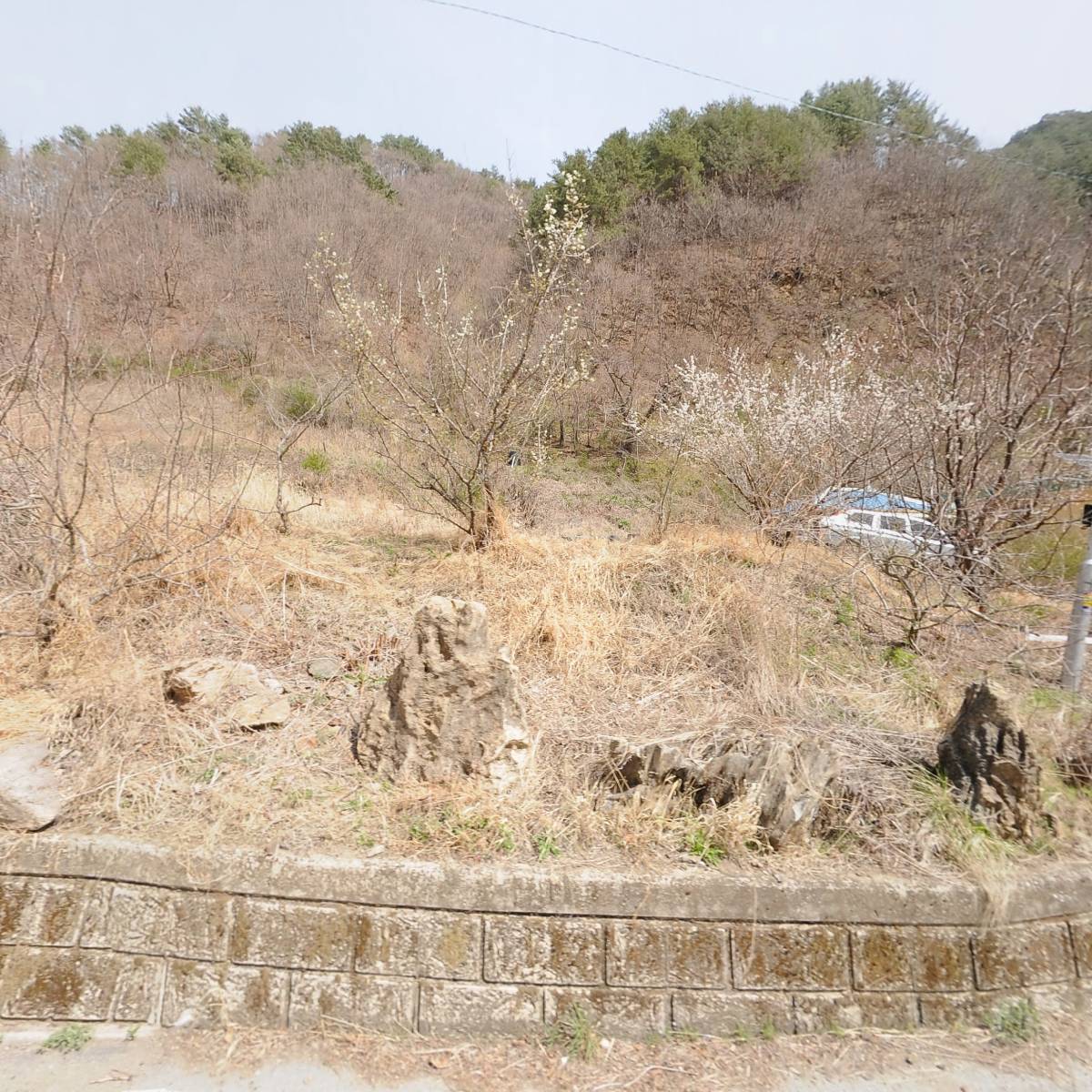 왕림수산_3
