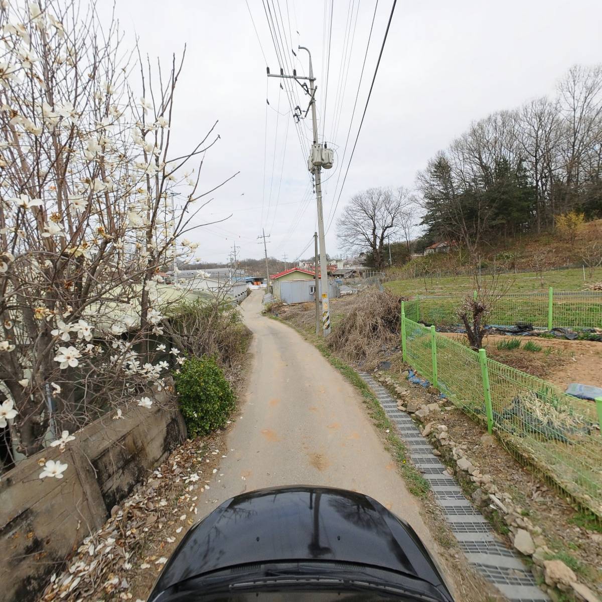 대산농장_4
