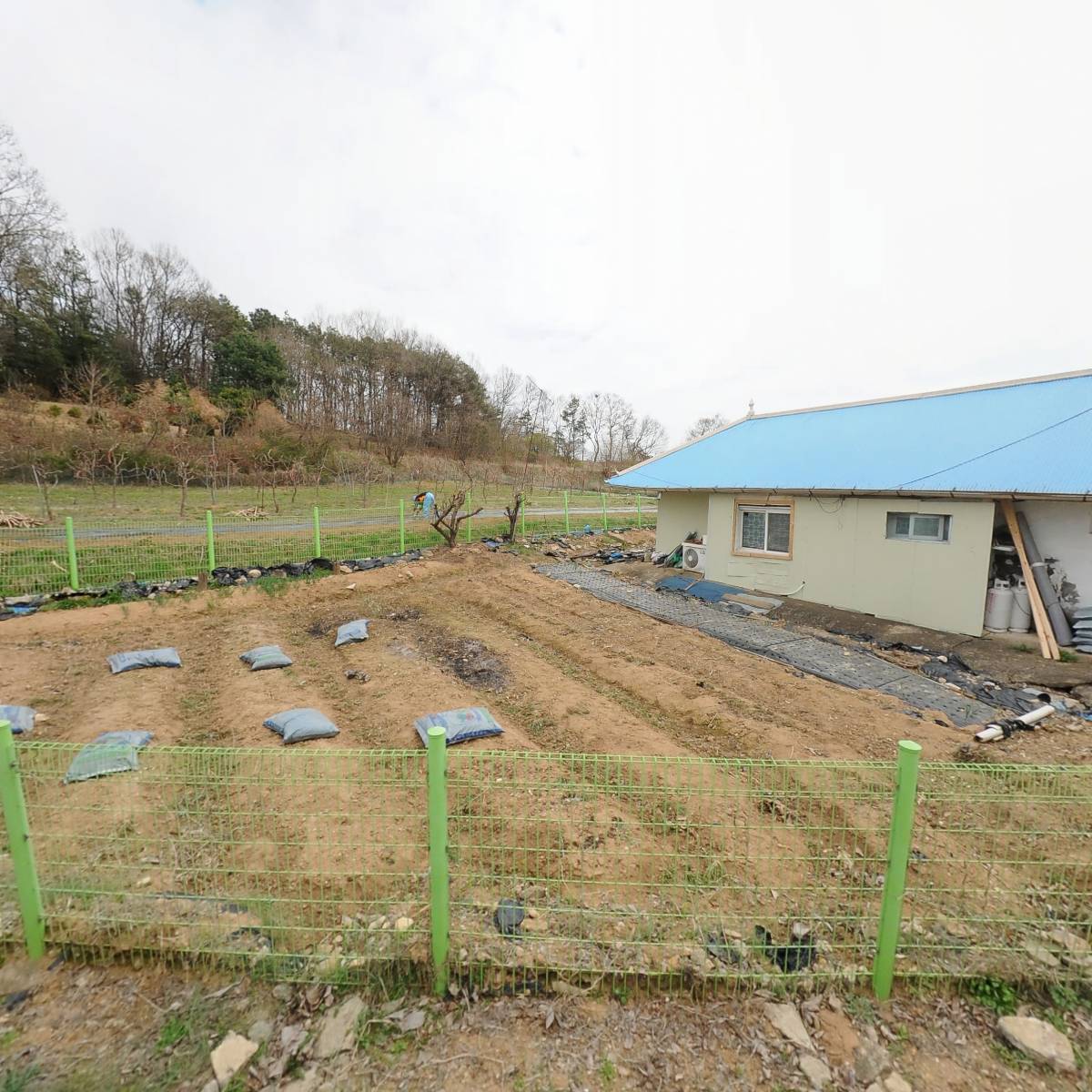 대산농장