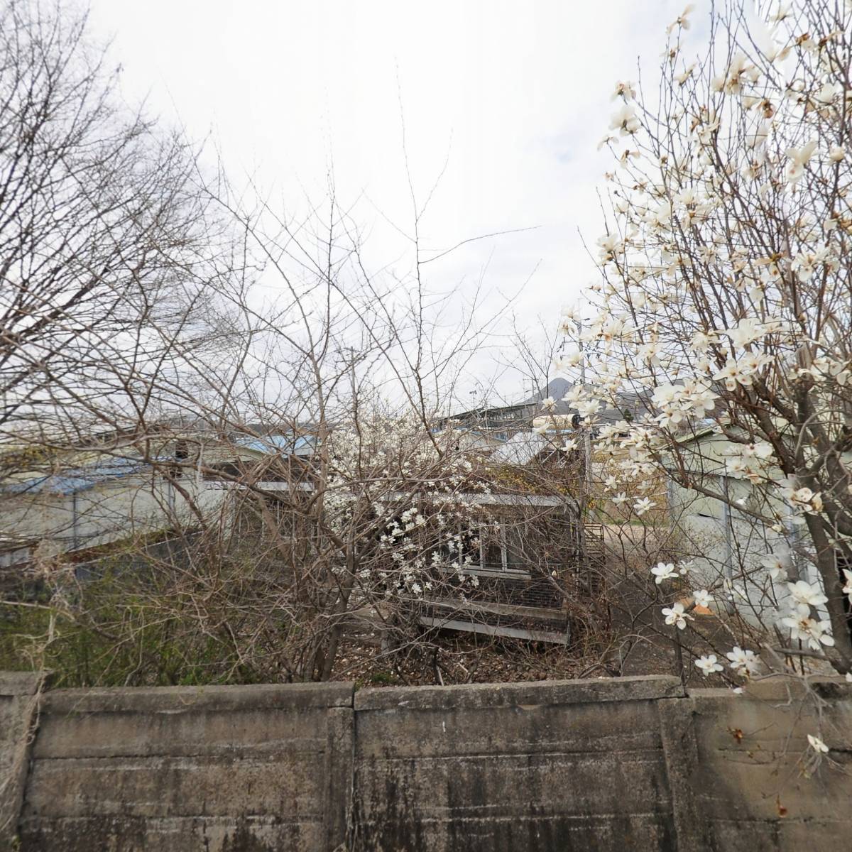 대산농장_3