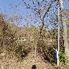 물댄동산전원교회_3