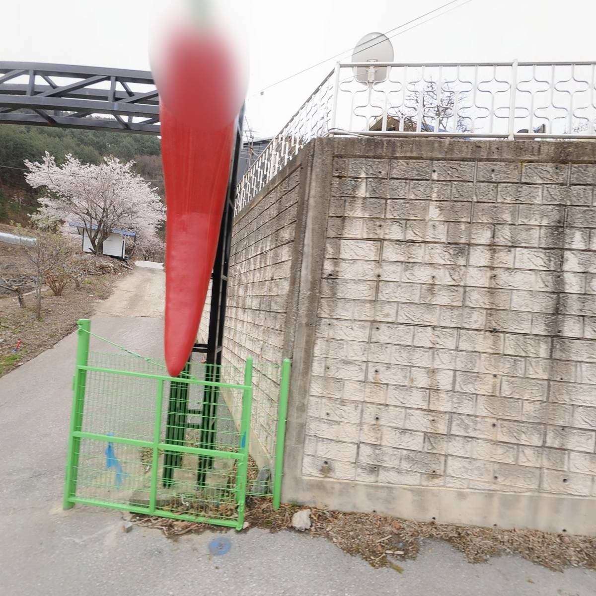 강릉최씨희경공파34세손휘대희이하손남양종중회