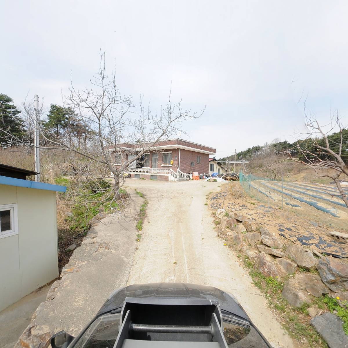 코뚜레돈우어때_4