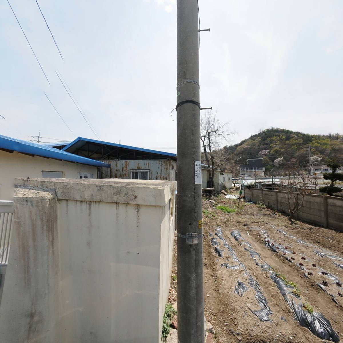 설악산느타리영농조합법인