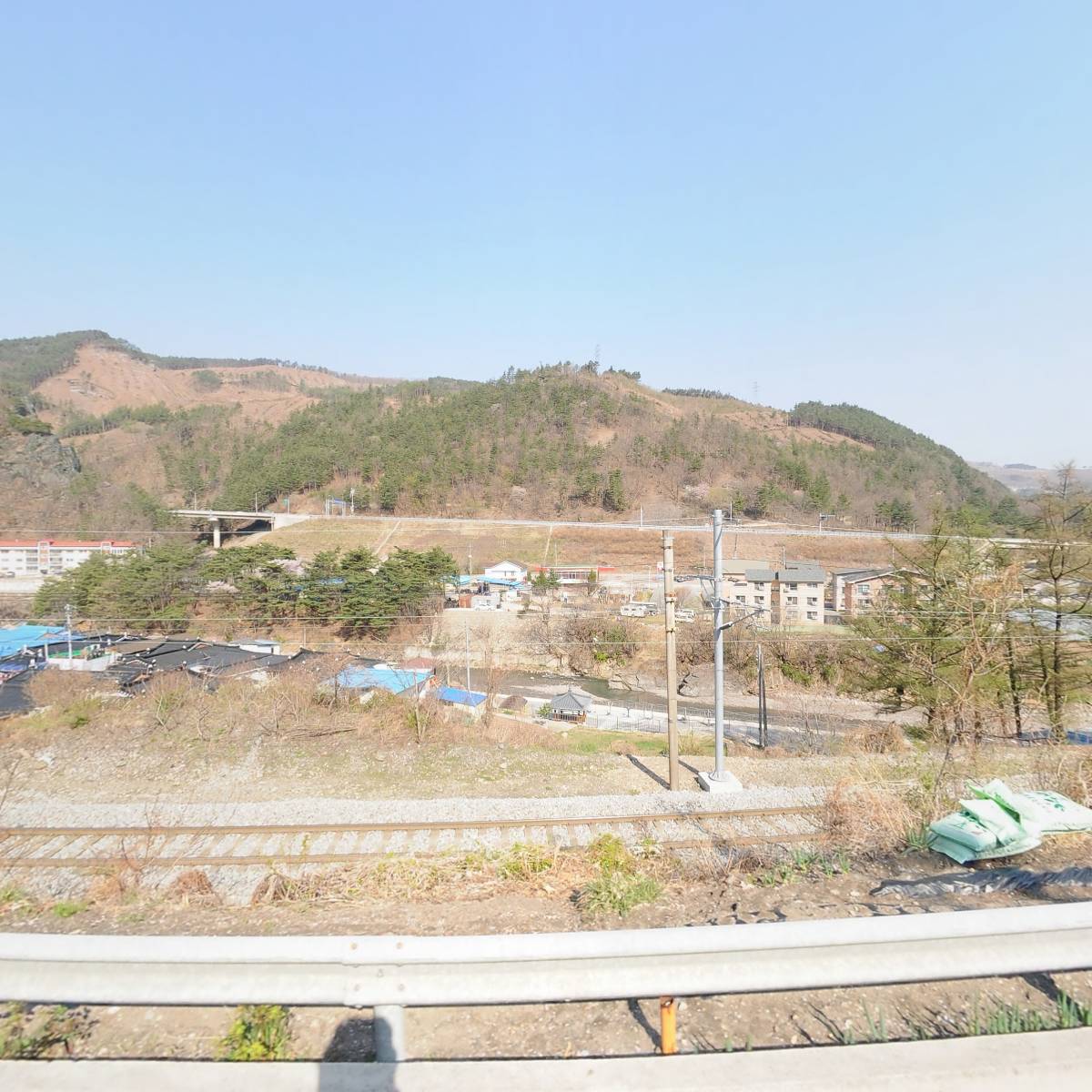삼척시도계보금자리