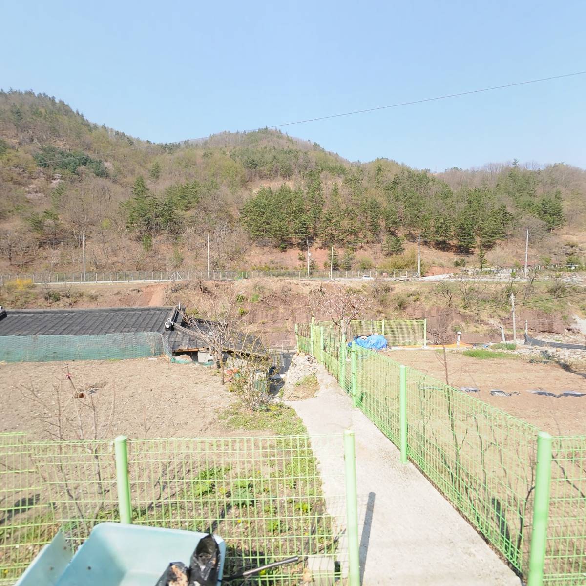 스머프 치킨