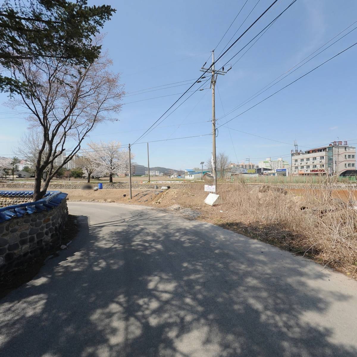 258데이빗_2