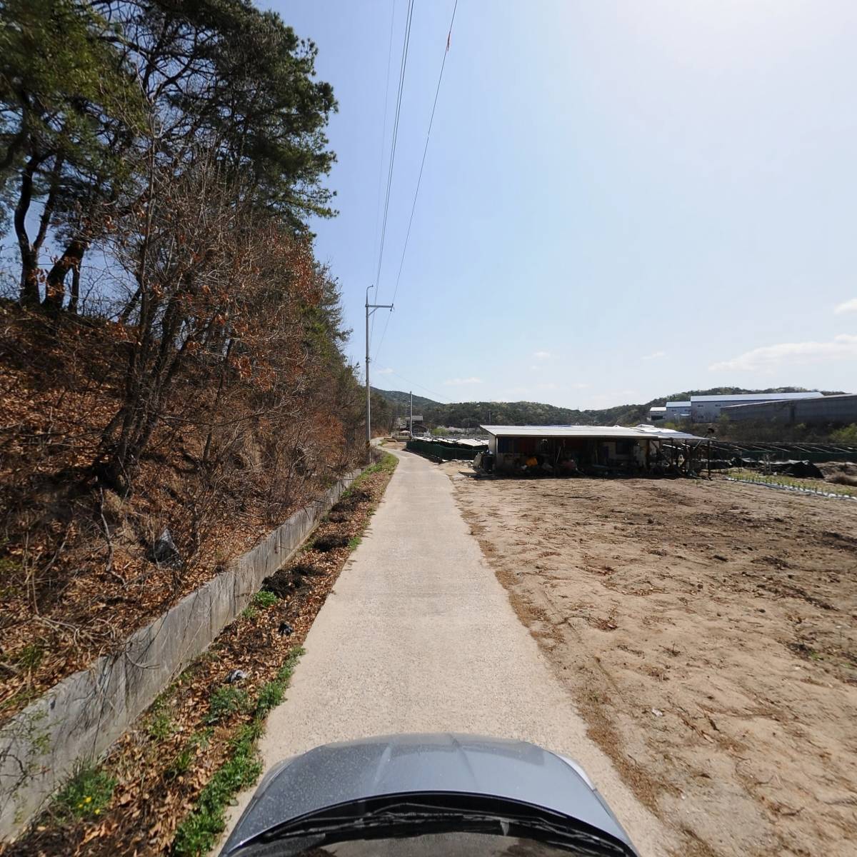 빛고운_4