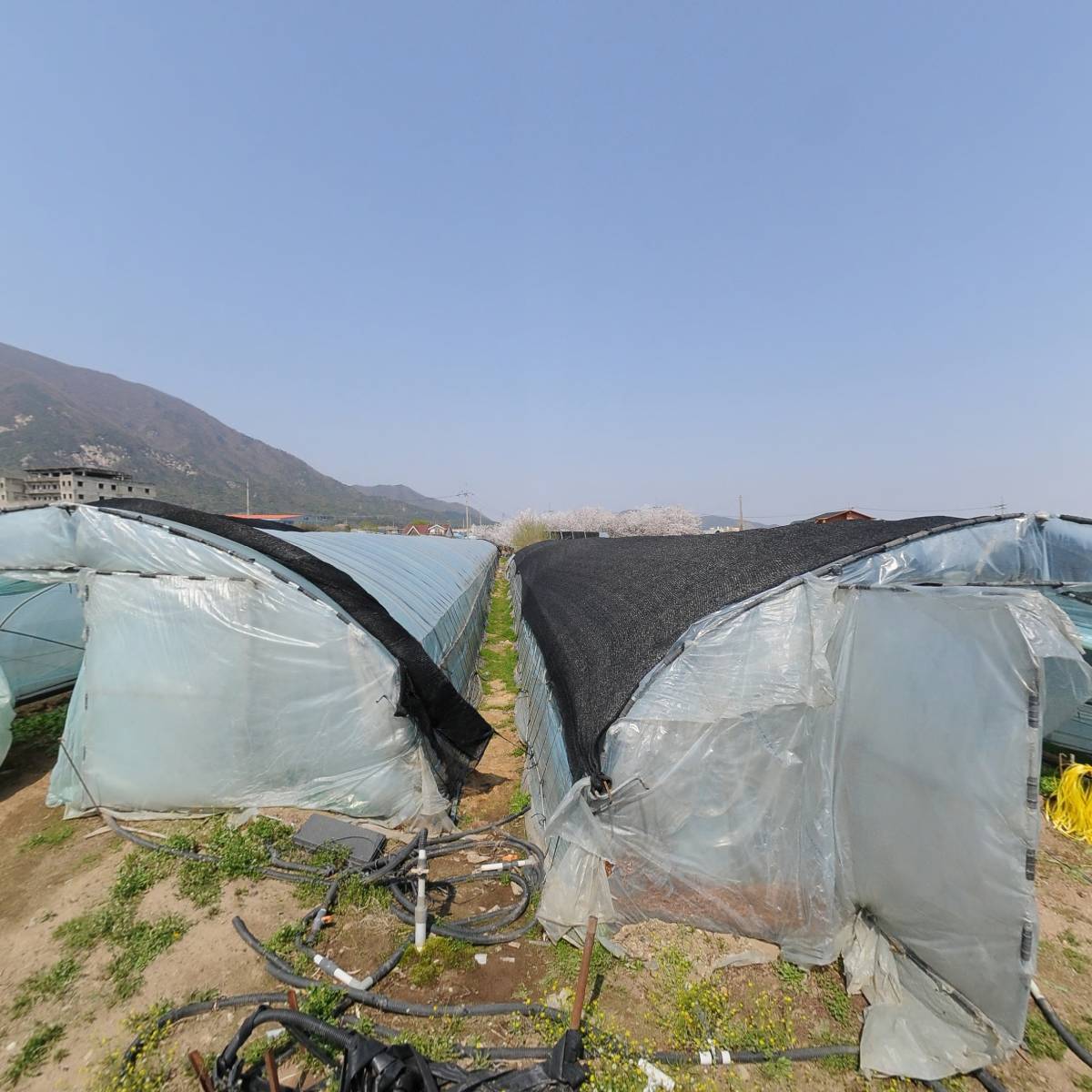 주식회사 성림_3