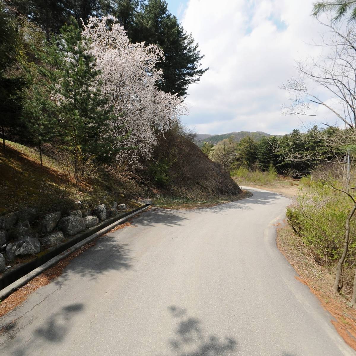 산림조합중앙회 북부산림사업본부_2