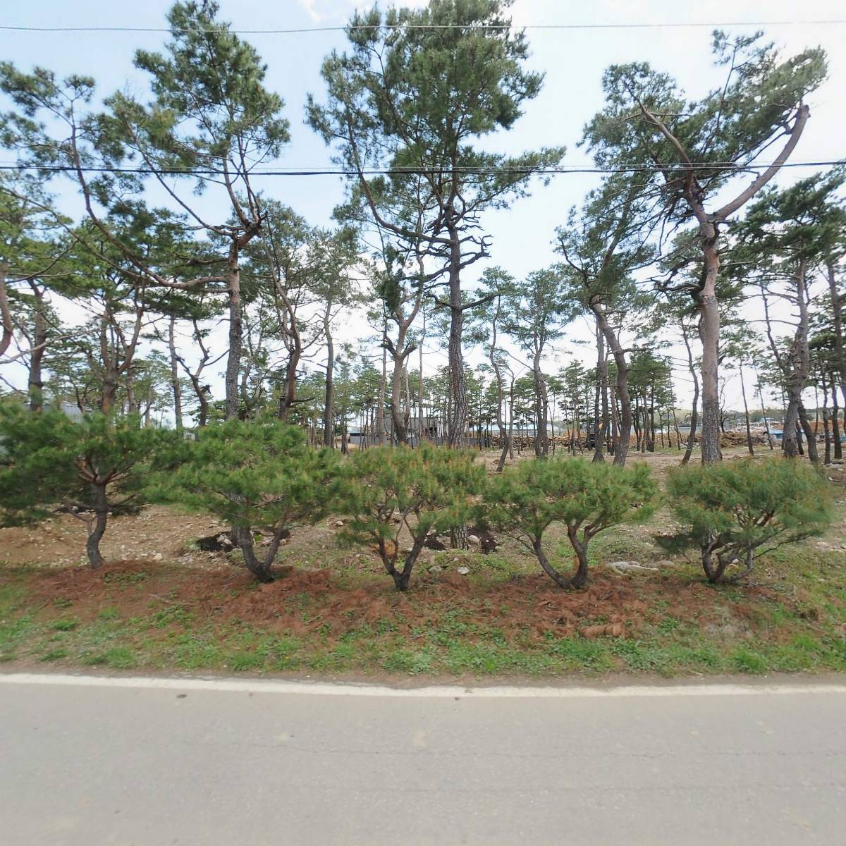 공주네생선구이_3