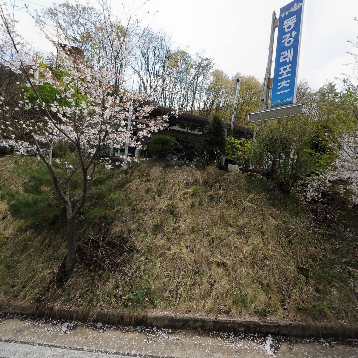 트리피_3