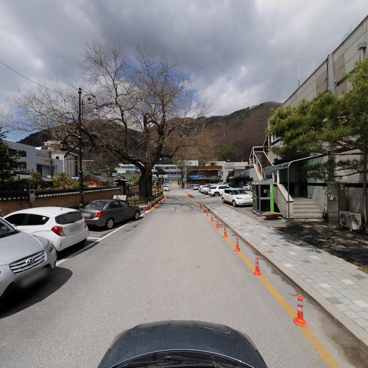 주식회사 천년숲_4