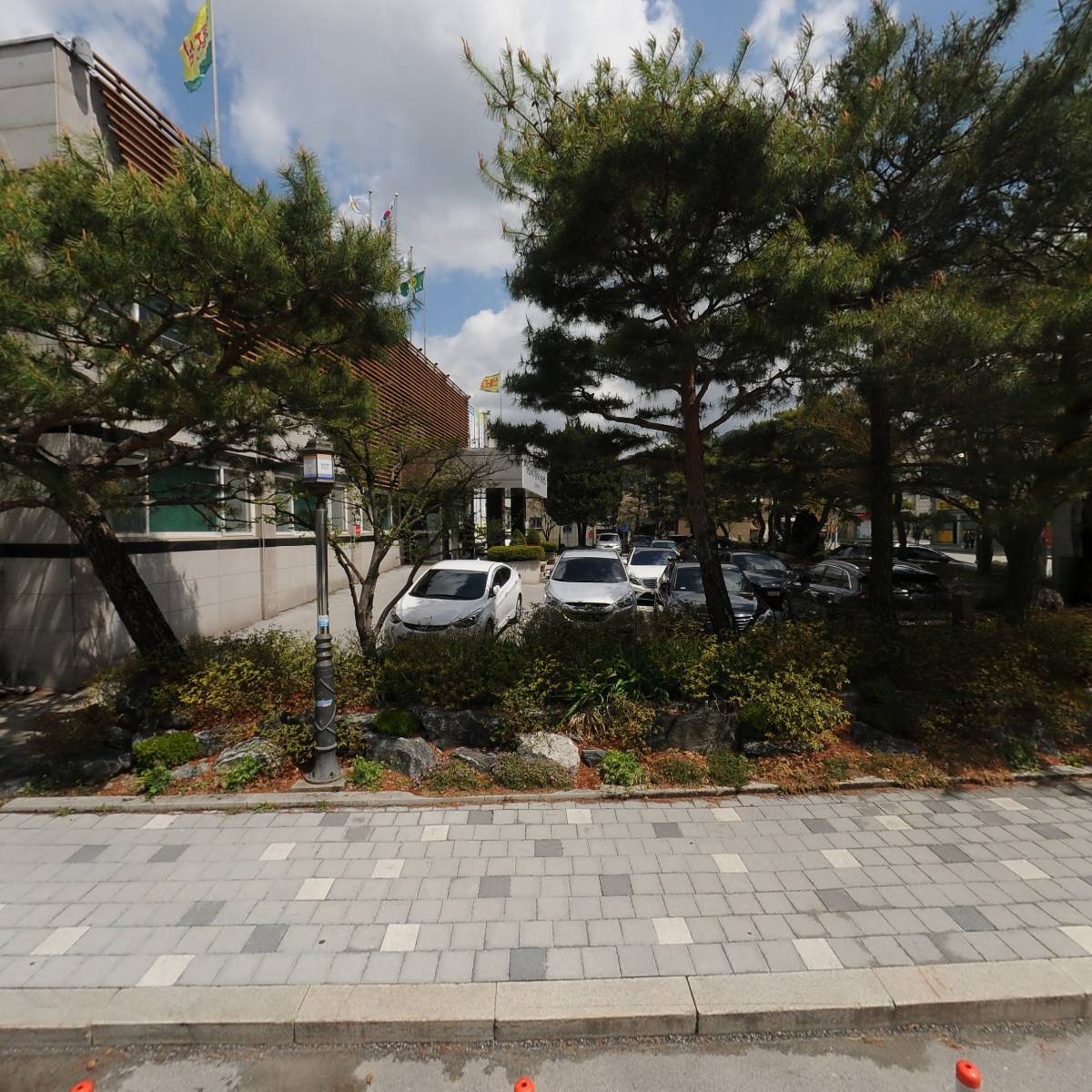 주식회사 천년숲