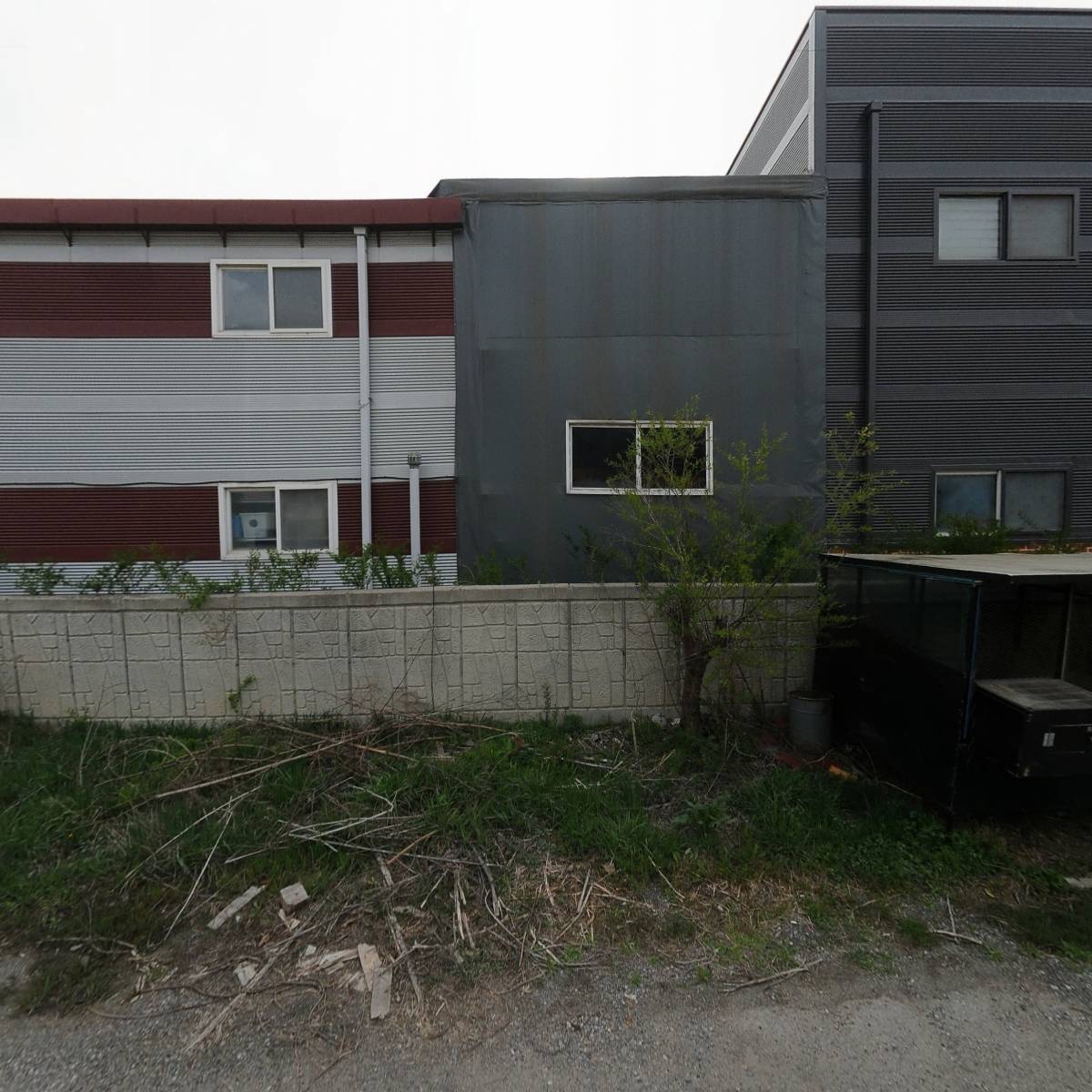 주식회사 자두나무