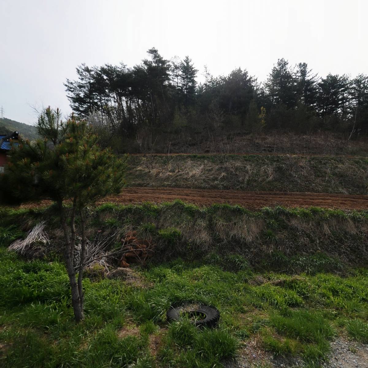 강원홍천산들채움