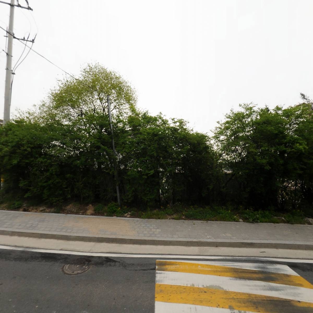 씨에스오(CSO)_3
