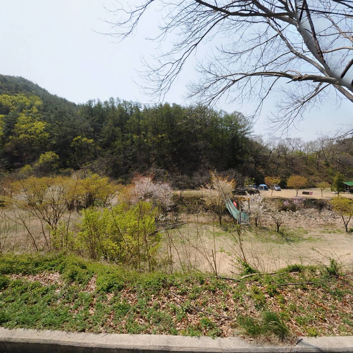 버라이어티 팜