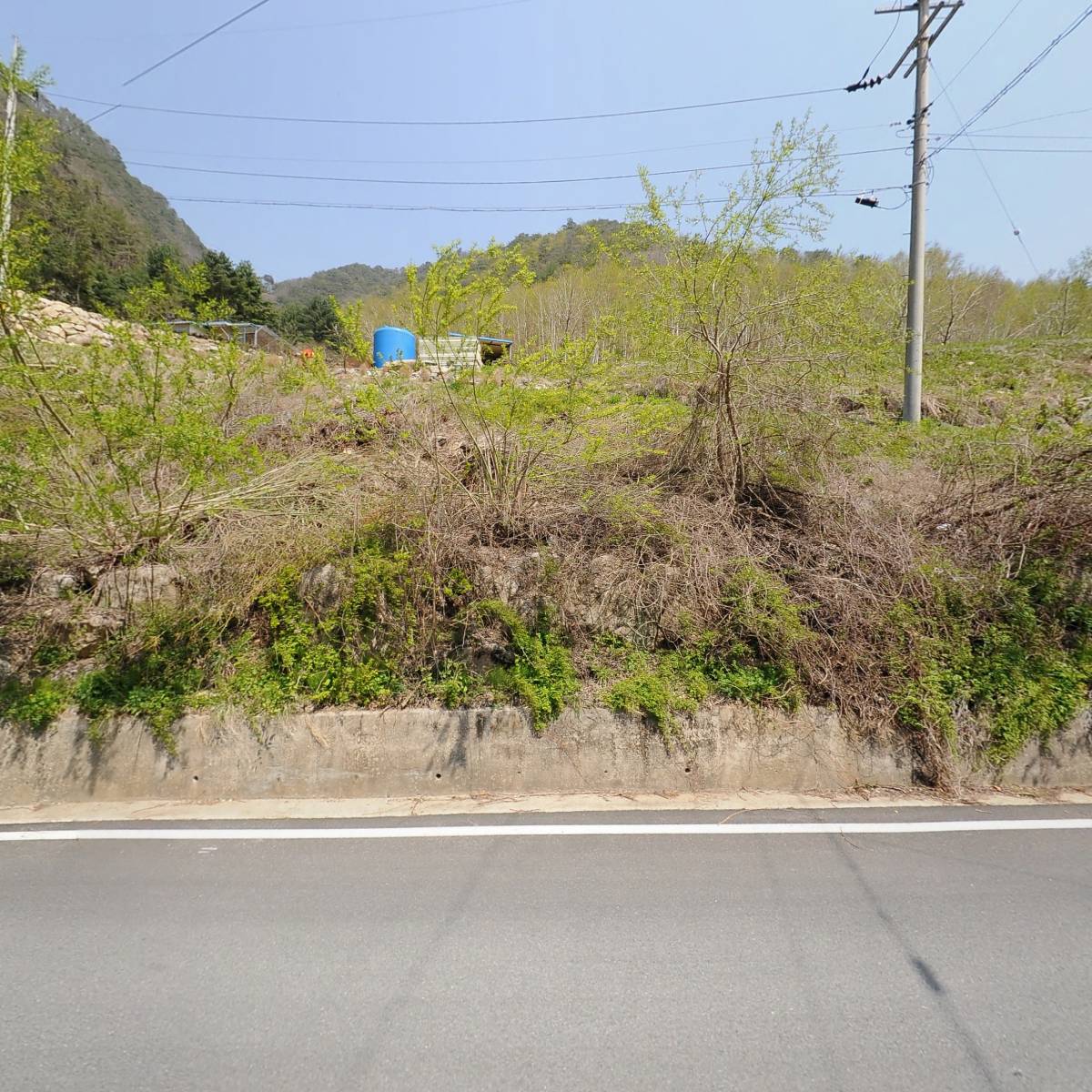 버라이어티 팜_3