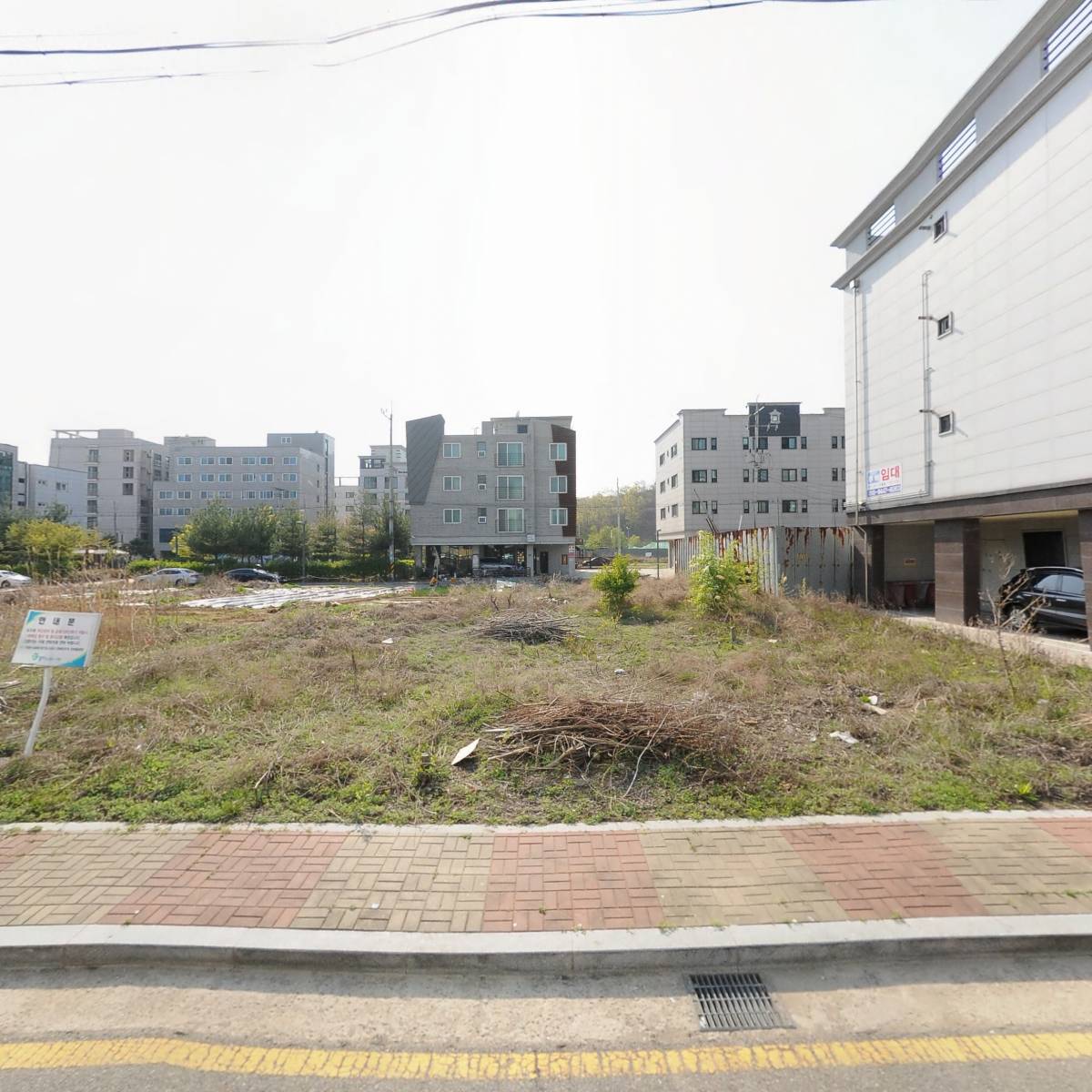 엠지엠에프앤비