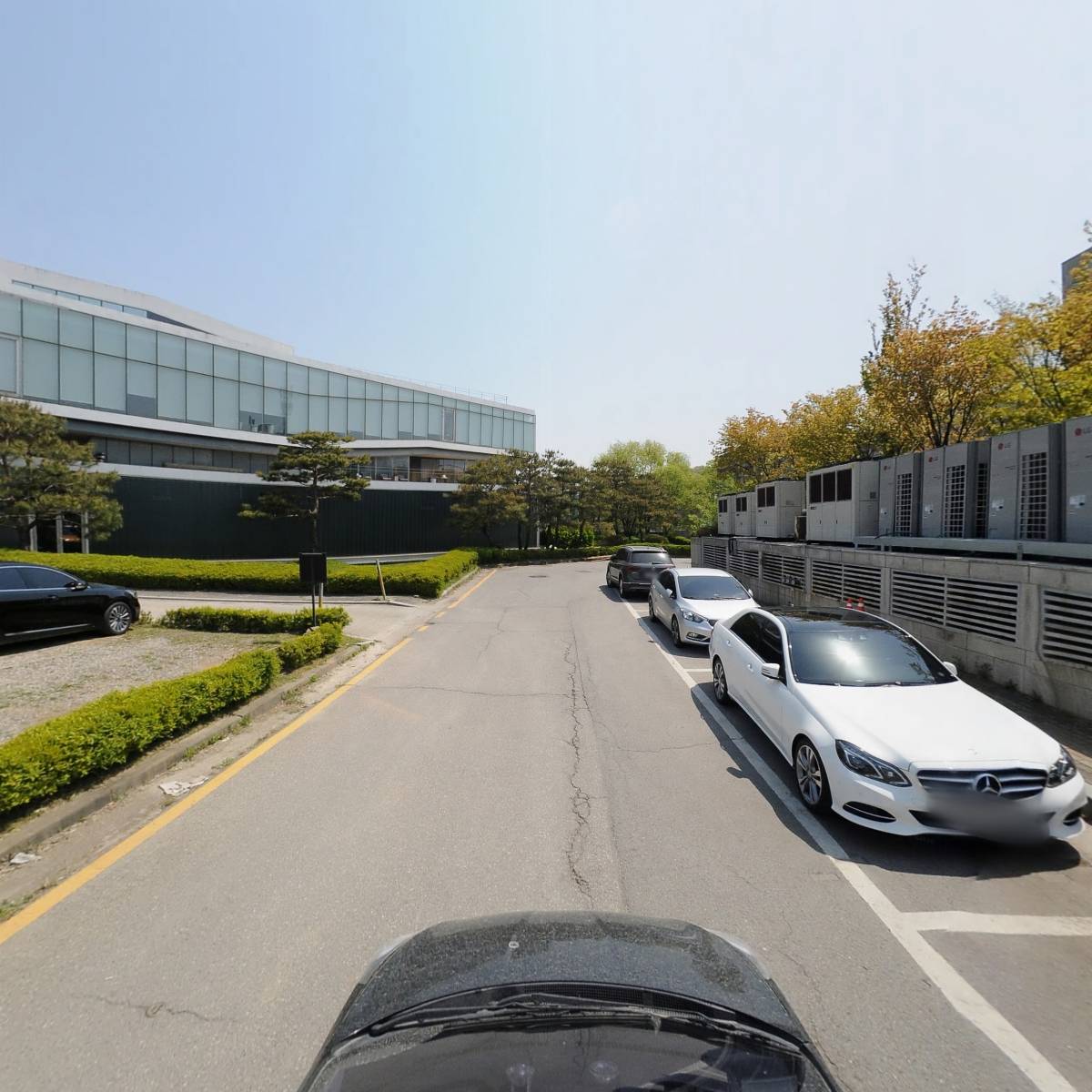 지콜론_4