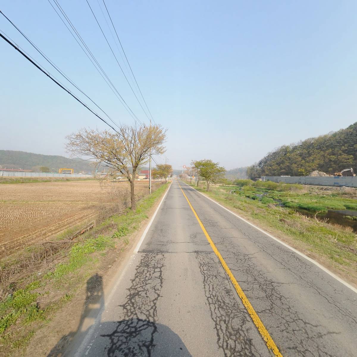 본느_2