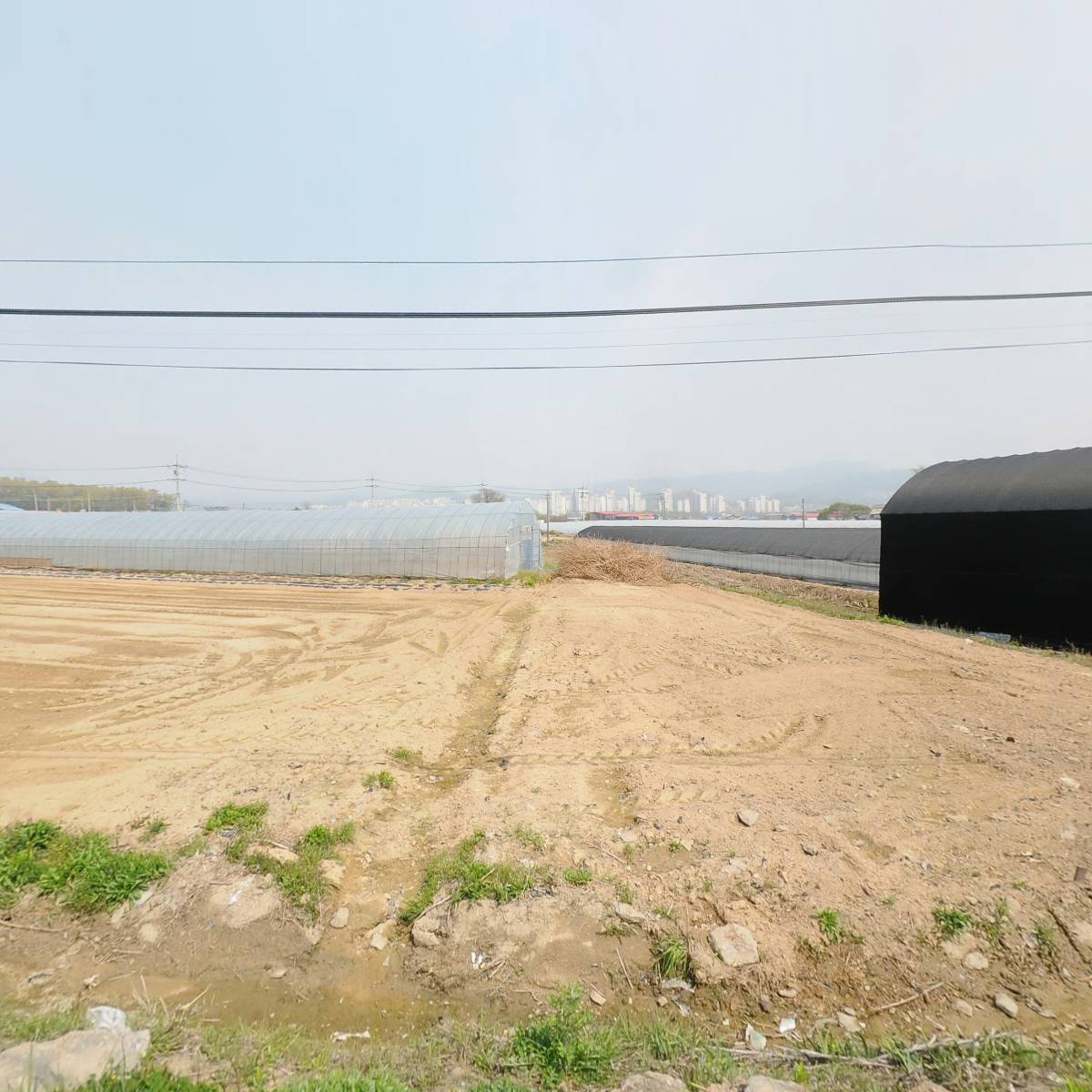 에이플러스(A )물댄동산