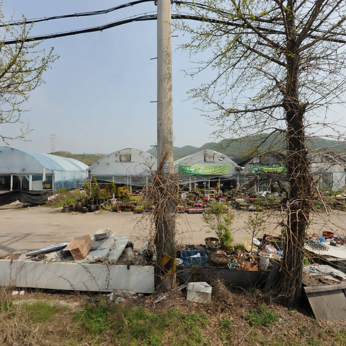 한솔다육집
