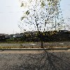 굿즈데코 주식회사