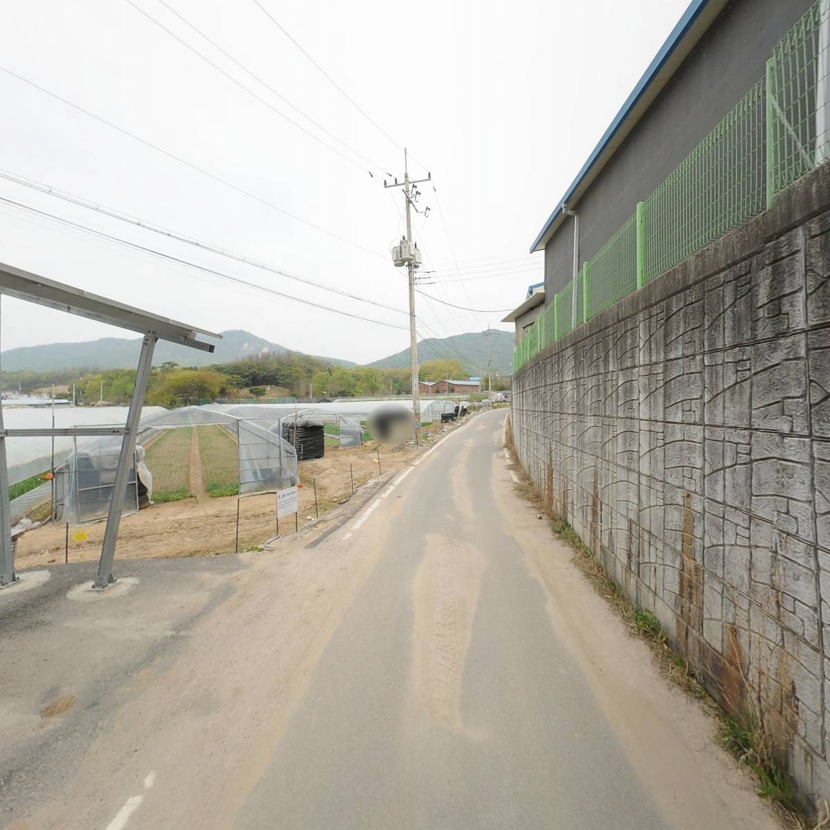 현대나염_2
