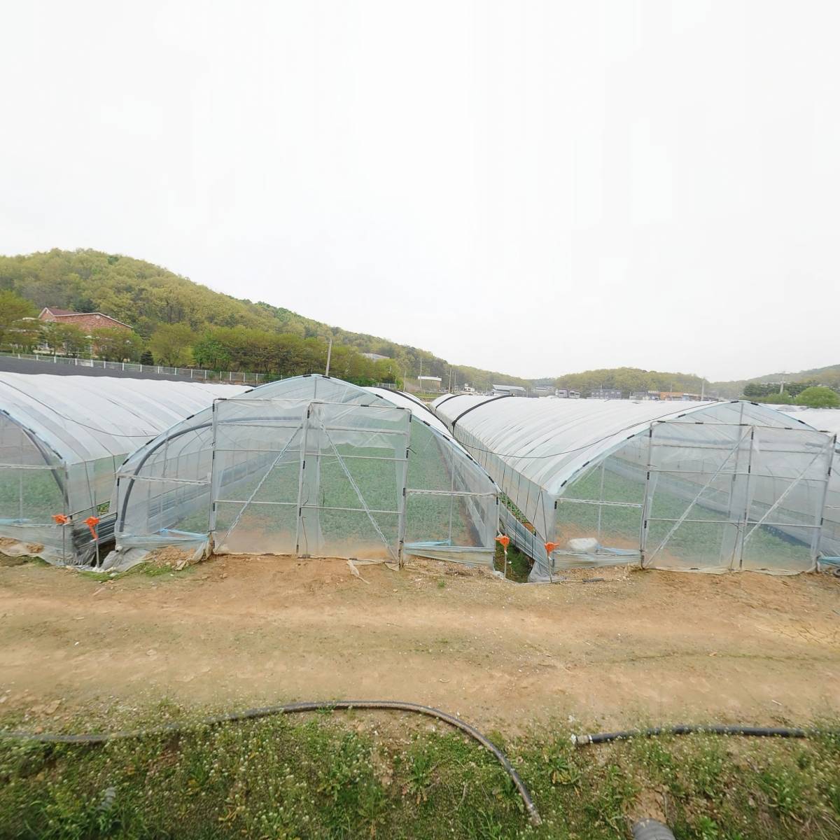 스테이 가든(STAY GARDEN)_3