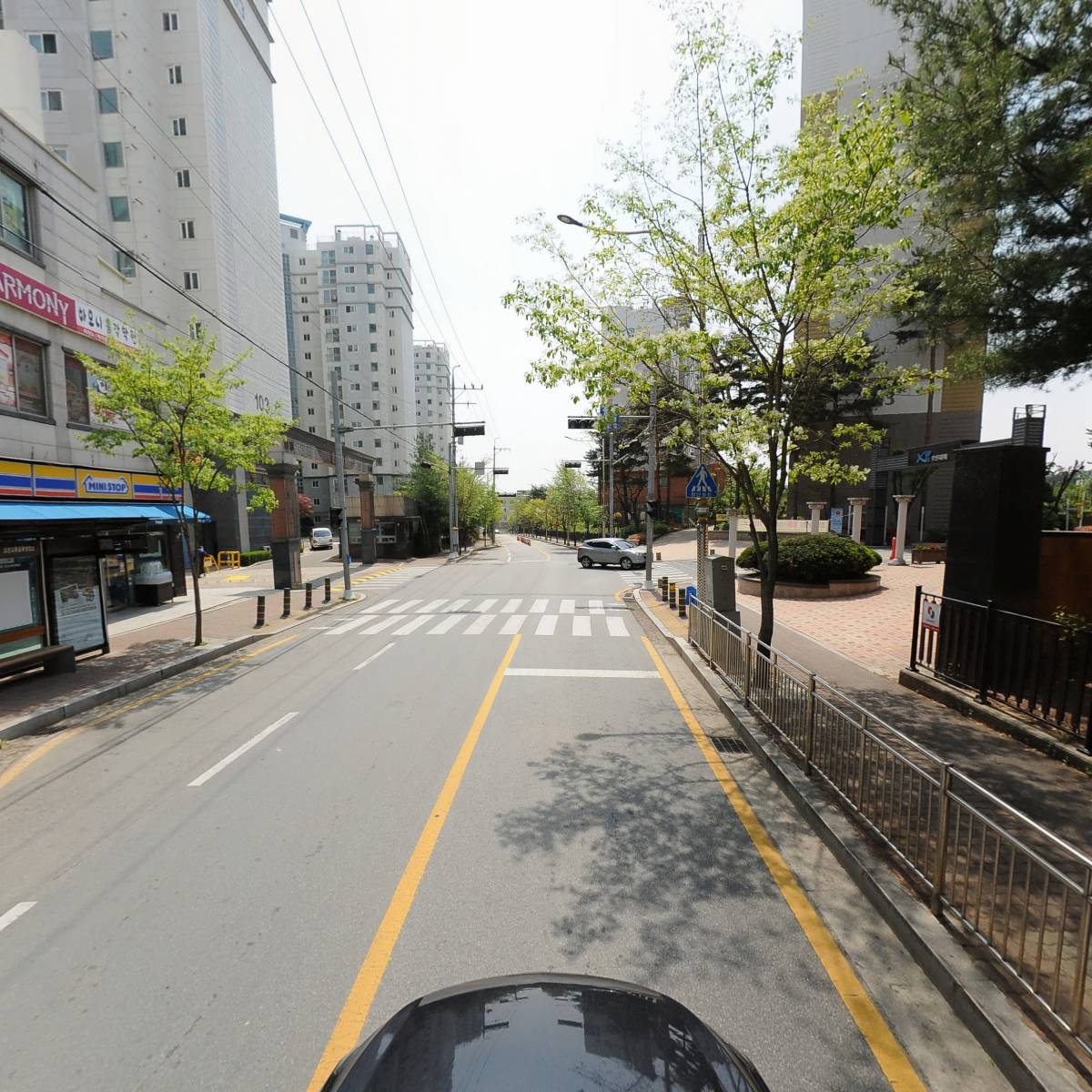 아라리오_4