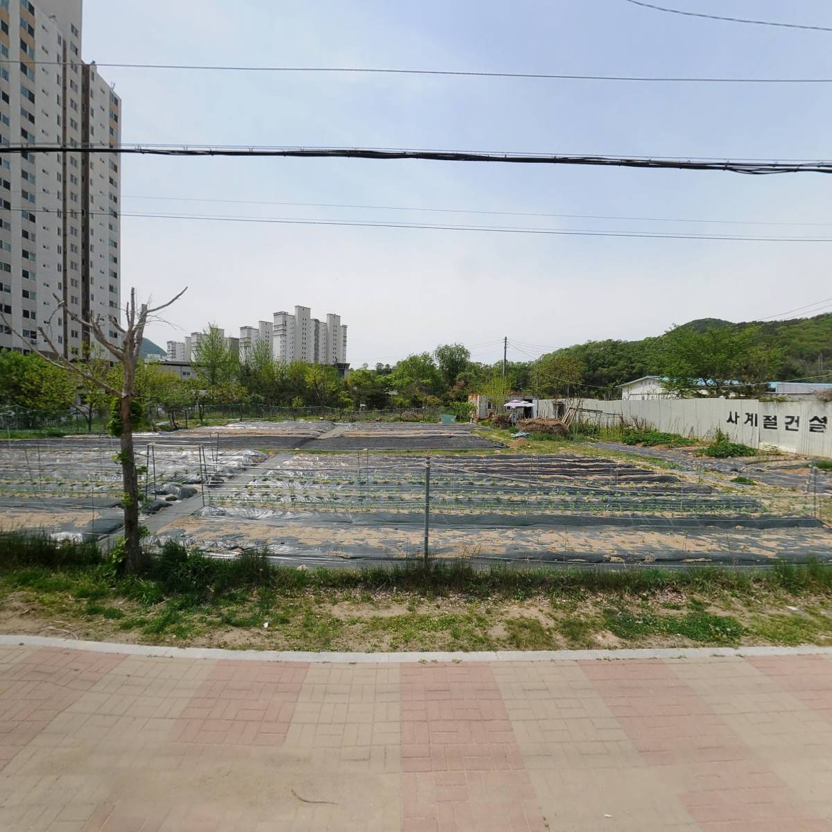 디디디알양평용문점