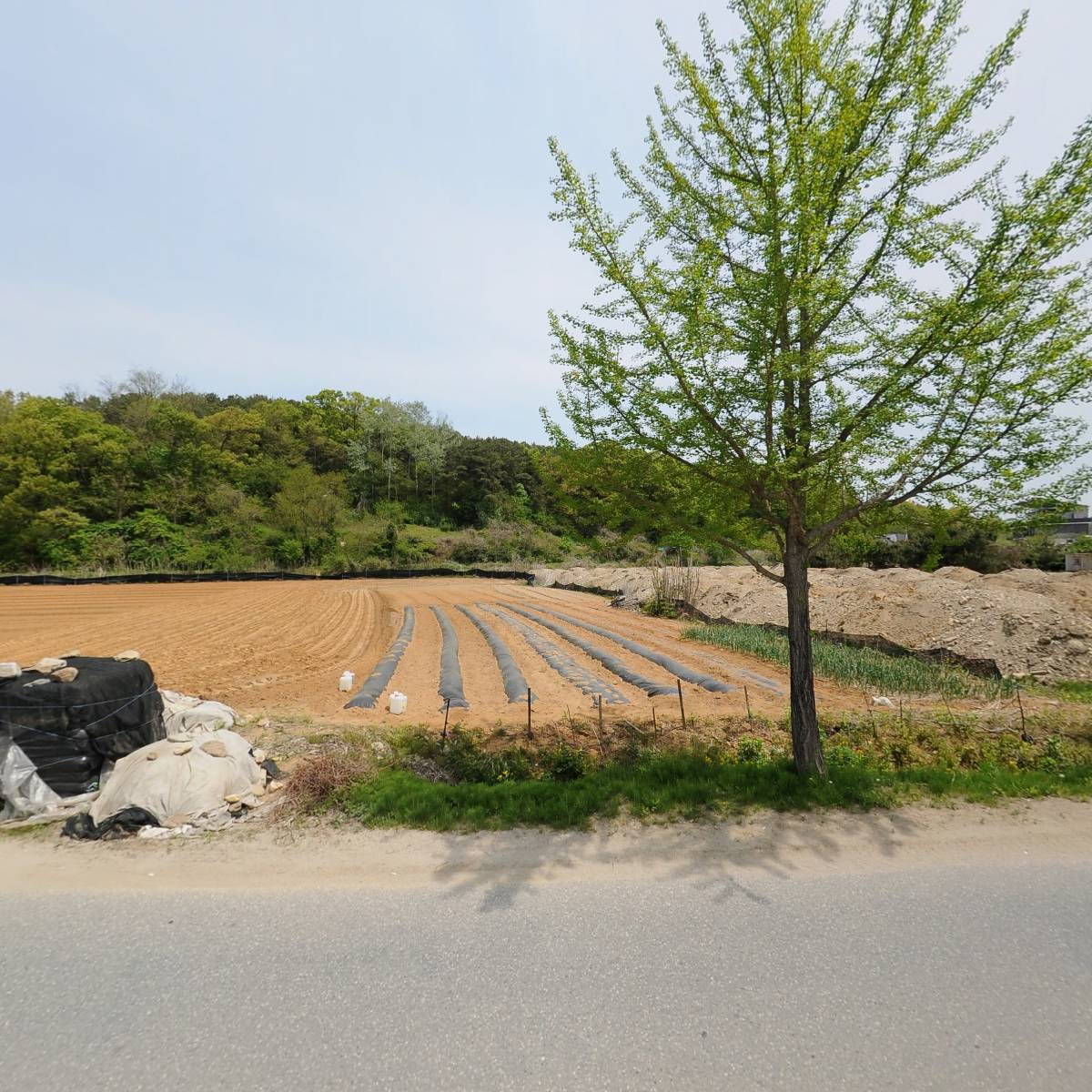 디디디알양평용문점_3