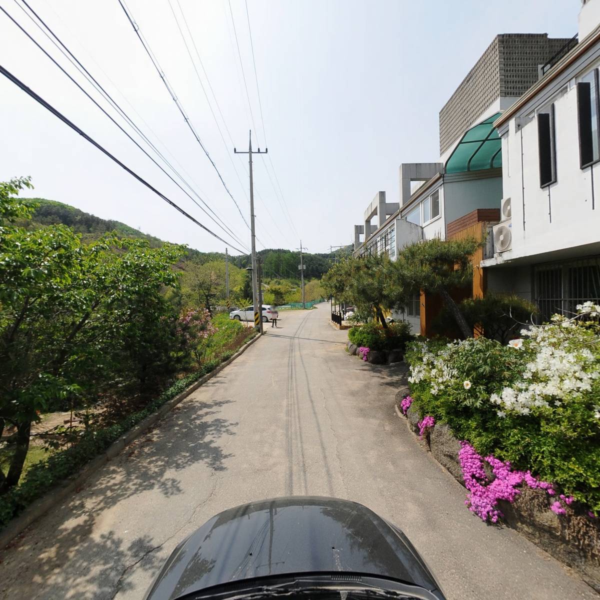 코알라키즈풀빌라펜션_4