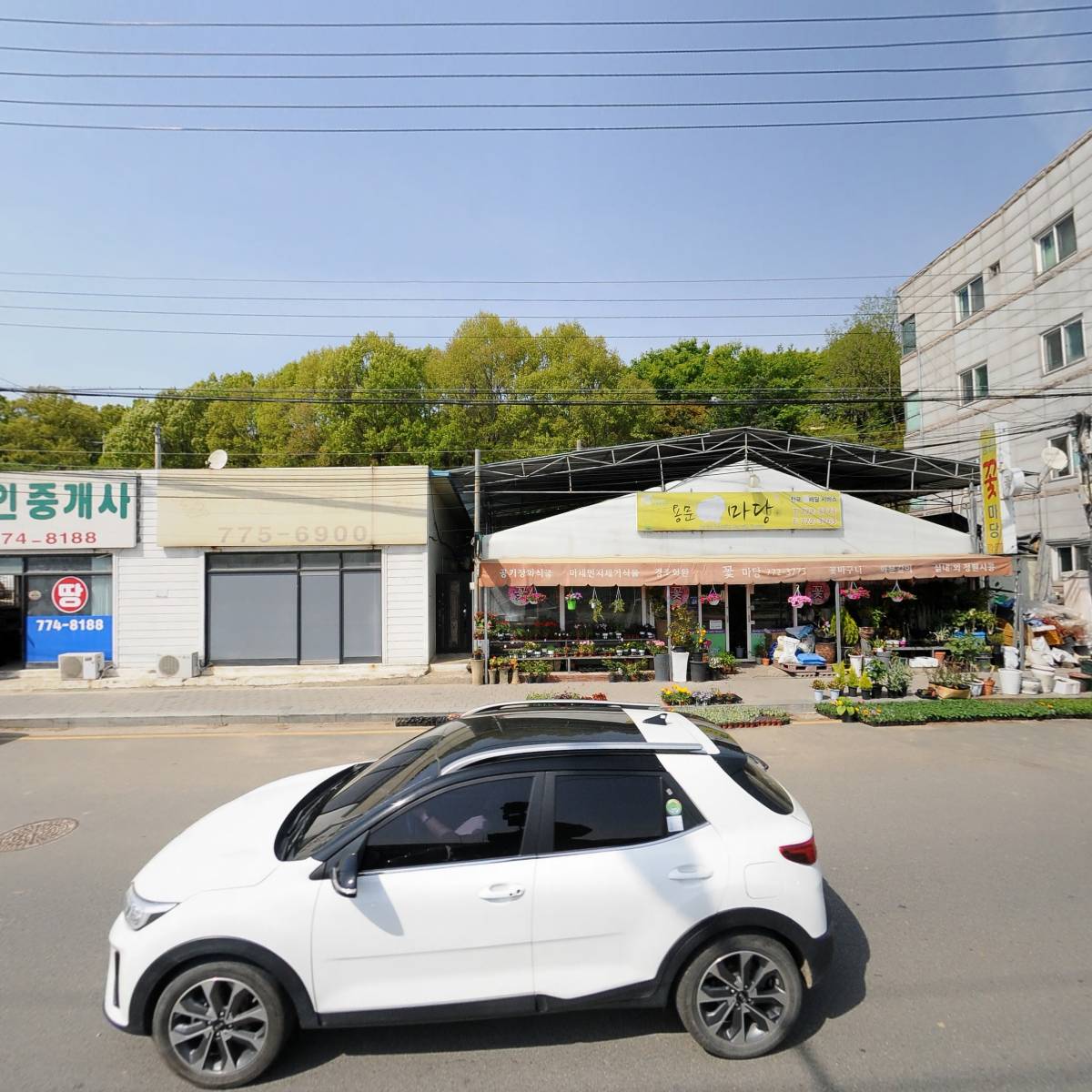 꽃마당_3