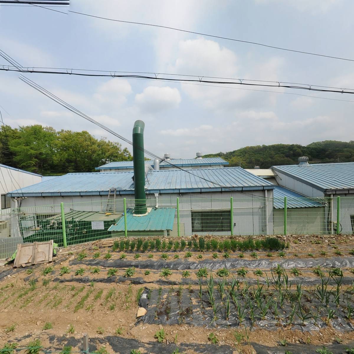 선우도장