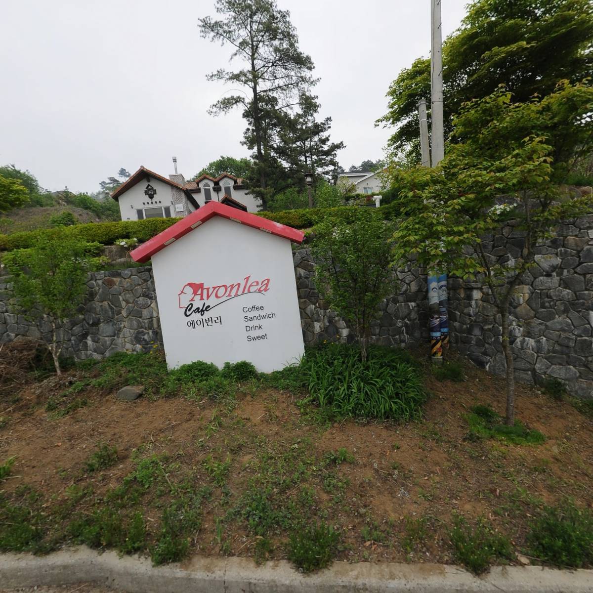 주식회사더블루