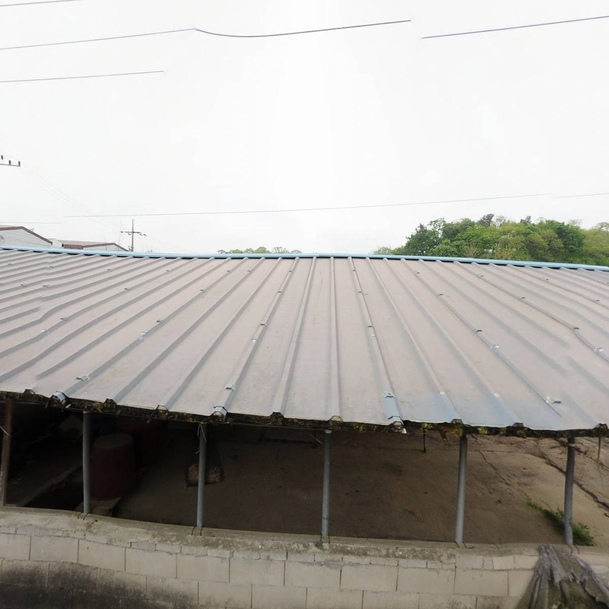 주식회사 핫프렌즈영호