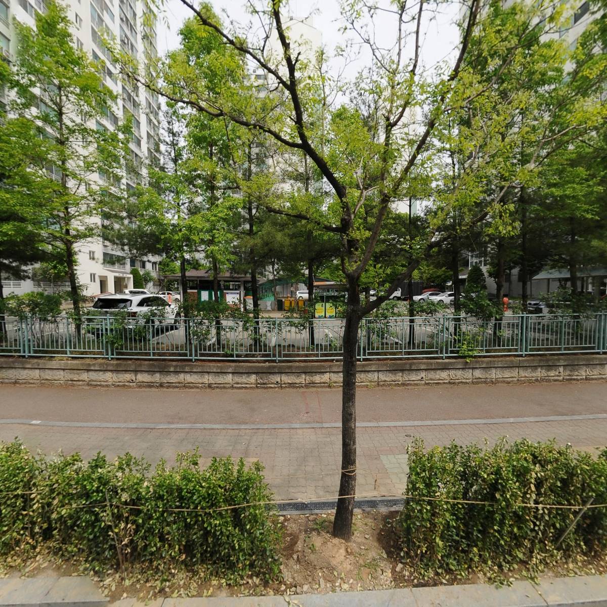 인디자인