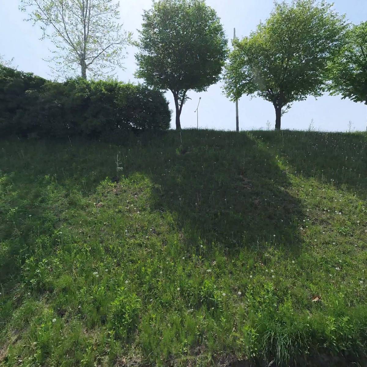동신화학