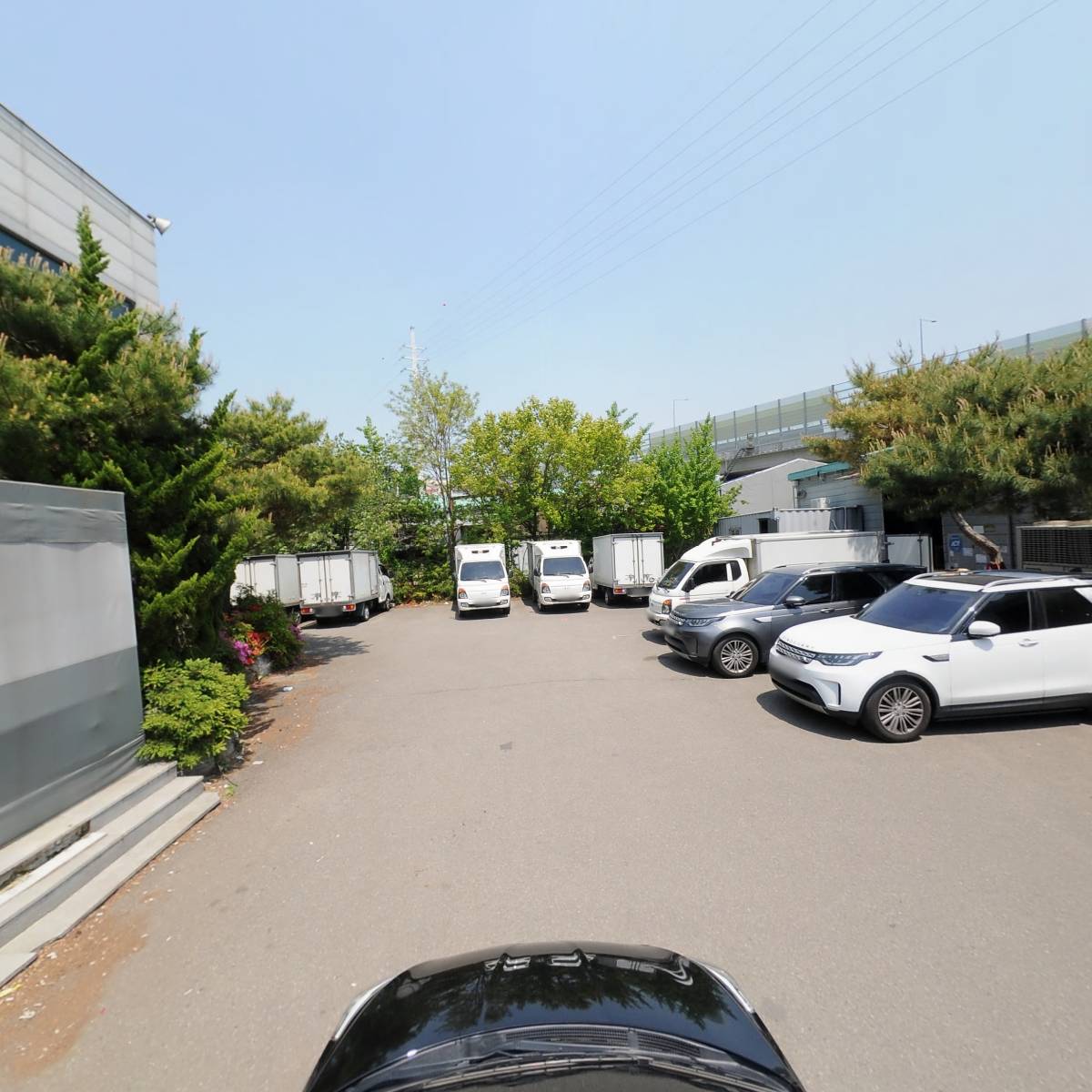 코스모스_4